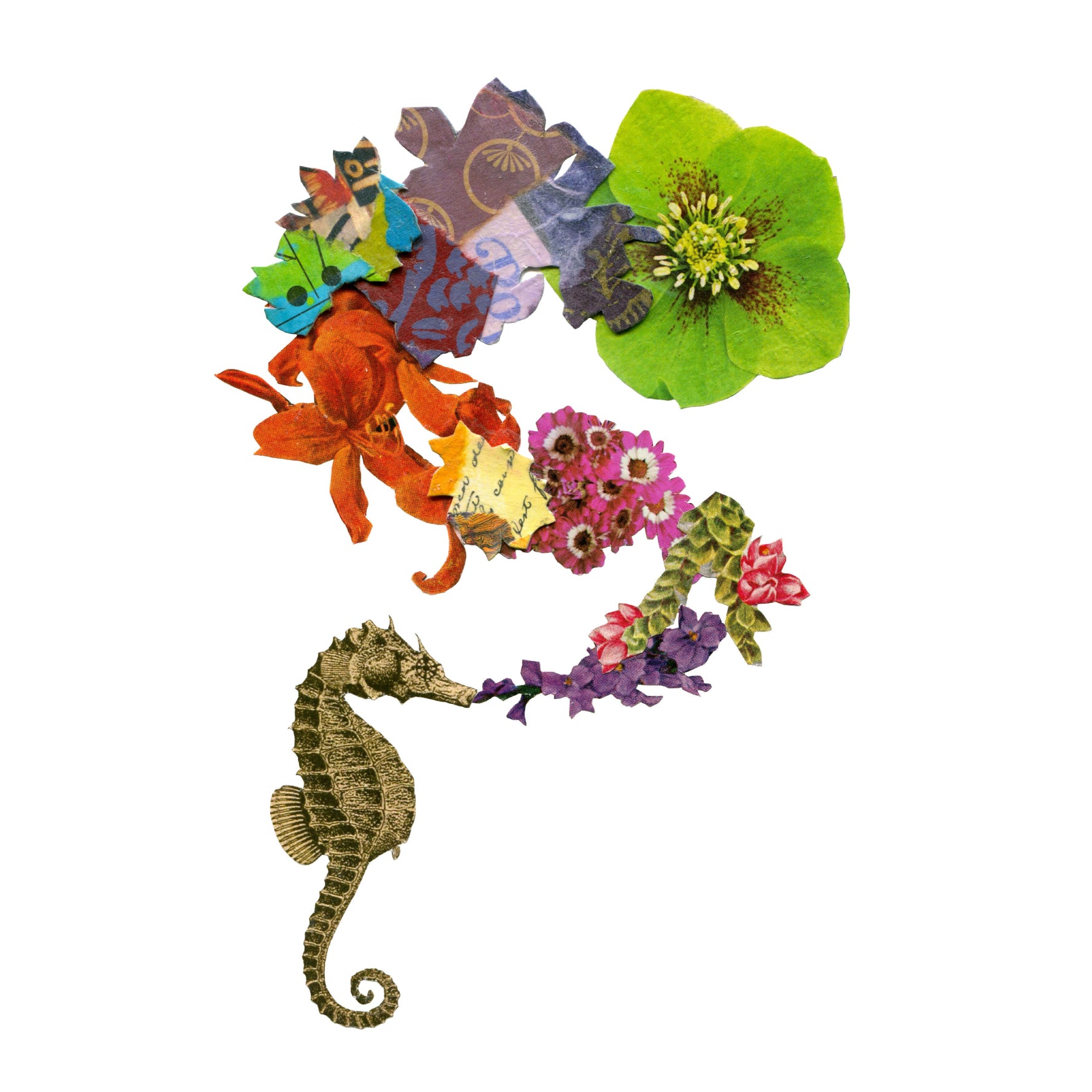 Seahorse Card Set